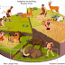 Uma questão de gordura: as preferências de caça afetaram as extinções da megafauna do Pleistoceno e a evolução humana