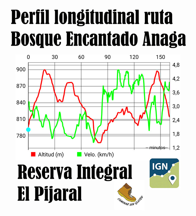 Perfil longitudinal ruta senderis Bosque Encatado - El Pijaral - Anaga