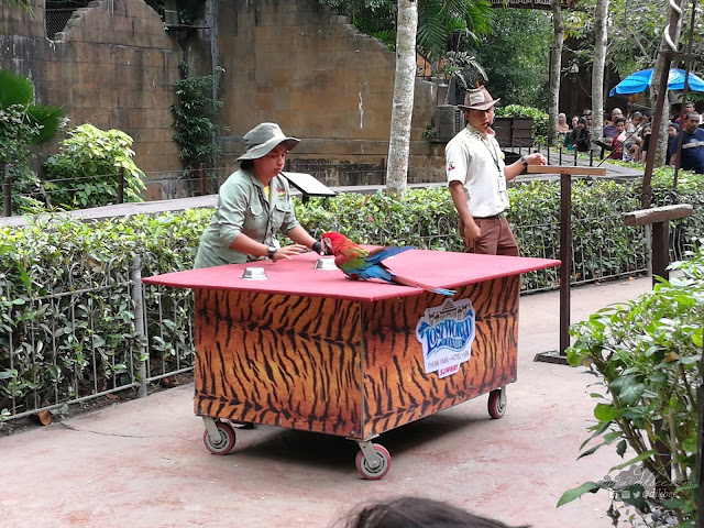 Glamping : Pengalaman Berkhemah Di Lost World Of Tambun