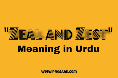 Zeal And Zest Meaning In Urdu