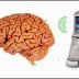 Los teléfonos celulares y la radiación del cáncer de cerebro