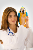 Veterinarian Birds