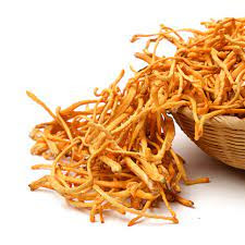 Cordyceps Mushroom Training In Chakan