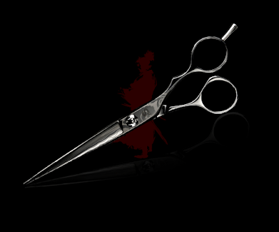 Shears Scissors