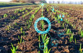 Artificial Intelligence in Agribusiness