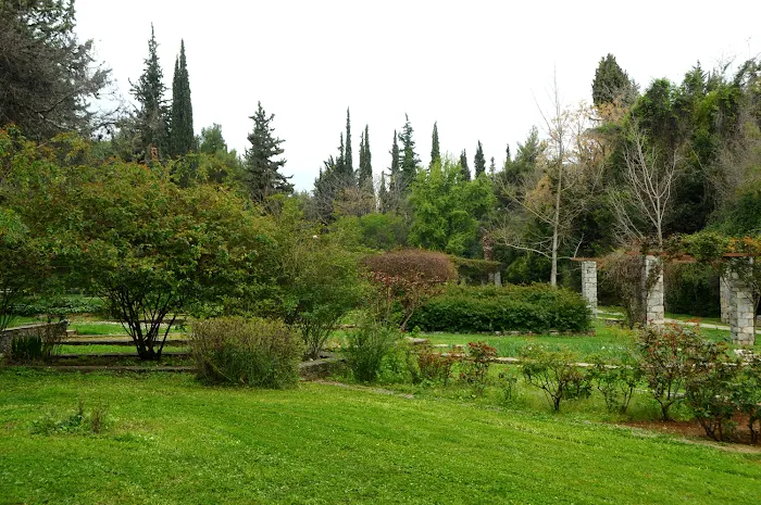 Diomides Botanic Garden an unexpected and colorful Athens park - the flower field