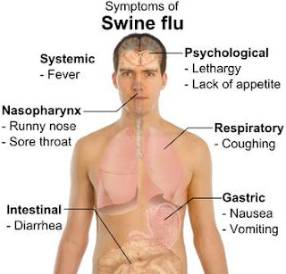 Understanding and Dangers And Causes Of Swine Flu