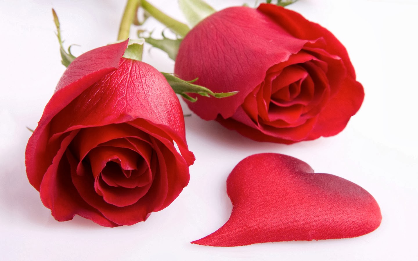 red rose day 2014 pictures, images, greetings, wallpapers