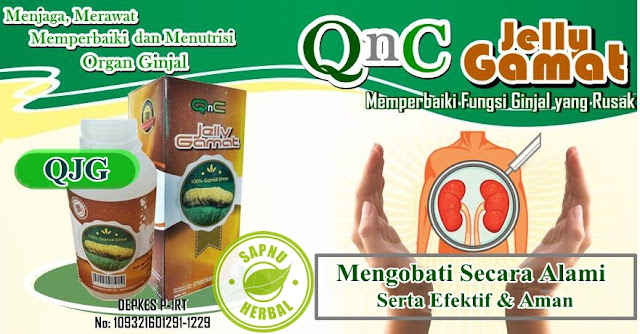 Cara Menyembuhkan Nefritis / Peradangan Pada Ginjal dengan Obat Radang Ginjal Herbal QnC Jelly Gamat