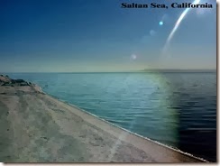 Saltan2[1]