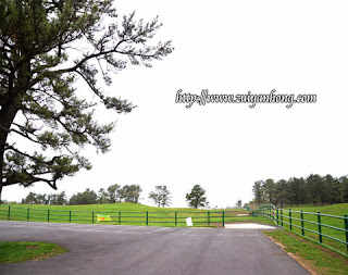 Jeju Horse Ranch