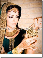pakistani bridial dresses lehnga choli poshak. mehendi design . pakistani gewellery. indian bride (18)