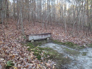 Bench on American Beech Trail © Katrena