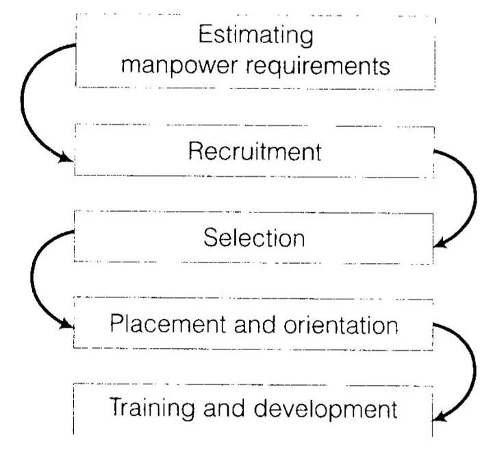 Solutions Class 12 Business Studies Chapter -6 (Staffing)