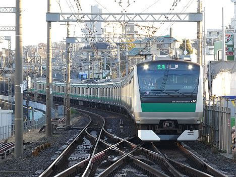 【ダイヤ改正で2本だけ新設！】E233系の特急　川越行き