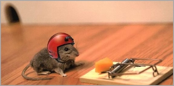 funny_mouse-pics-images-bajiroo-photos