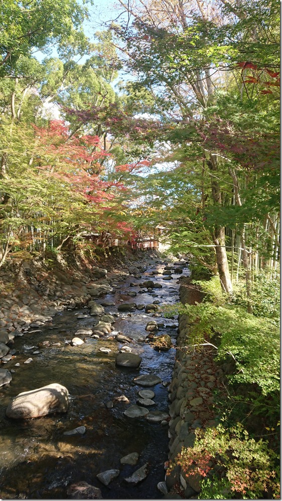 楓橋から見た風景