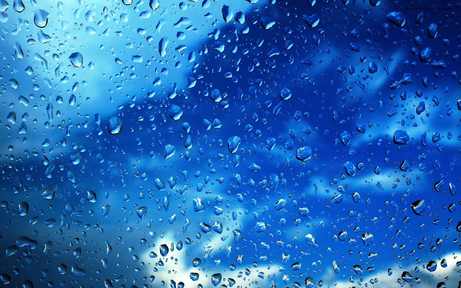 Nature Rain Hd Wallpapers HD Wallpapers Download Free Images Wallpaper [wallpaper981.blogspot.com]