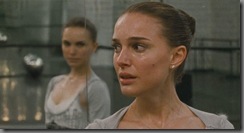 black swan wallpaper
