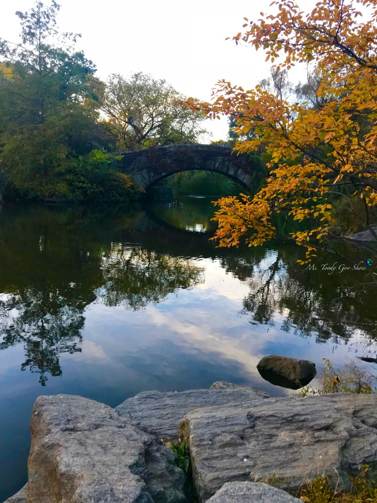 The Pond in Central Park is an oasis in the middle of New York City | Ms. Toody Goo Shoes