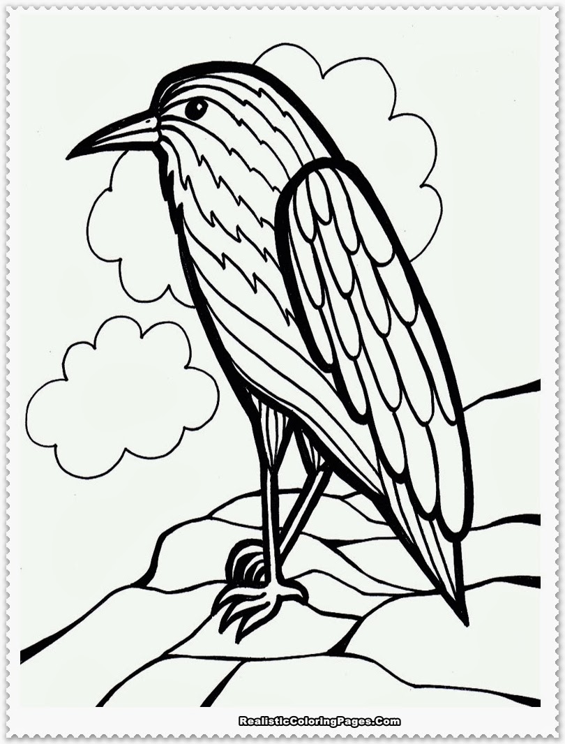 Download Bird Coloring Pages Realistic | Realistic Coloring Pages