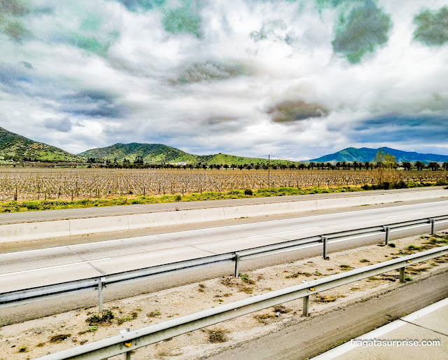 Vinícola no Vale de Casablanca no Chile