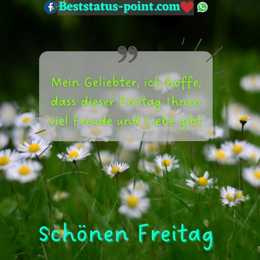 guten morgen freitag bilder lustig kostenlos guten morgen freitag bilder lustig kostenlos