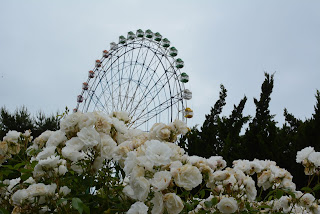 ひたち海浜公園バラ2020