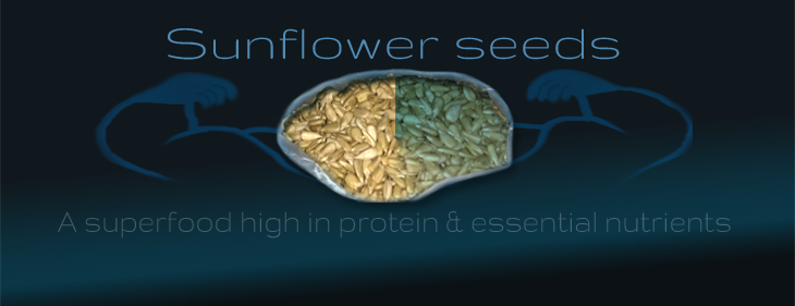 An image of sunflower seeds with powerfull arms and text that says Sunflower Seeds and A superfood high in protein and essential nutrients