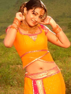 hotnnaughty.blogspot.com,sexy indian actress pictures
