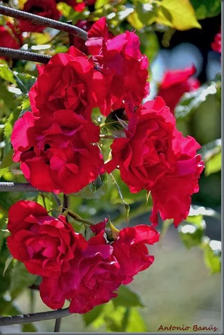5_DSC9153x1