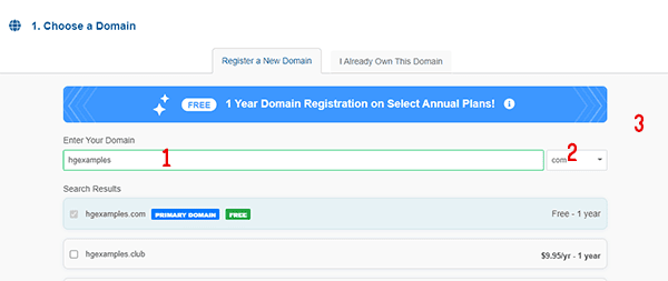 Second Step: Choose the domain or domain