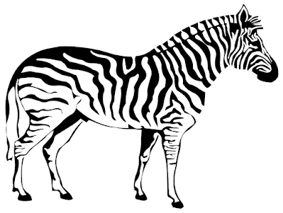 Gambar Zebra