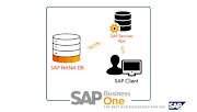 Hướng dẫn cài đặt SAP Business One version SAP HANA On-Premise (phần 1)