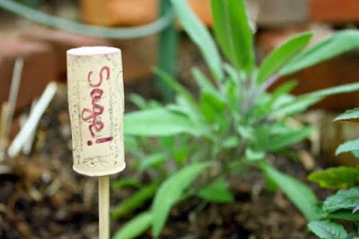 http://eatdrinkbetter.com/2012/03/14/diy-plant-markers/
