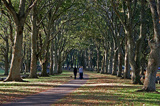 Cornwall Park