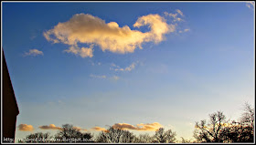 Whale shaped cloud in wintry afternoon sunshine