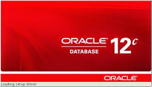 install Oracle Database 12c R1