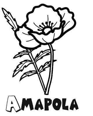 Flor Amapola para colorear