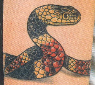 Fotos de tatuagens de cobras coloridas no braço