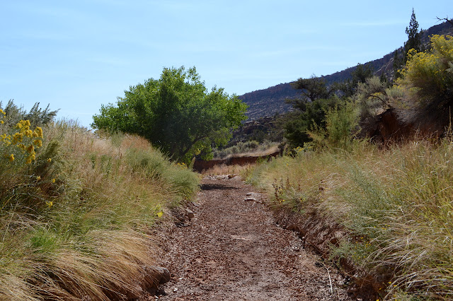 rolling up mud between grasses