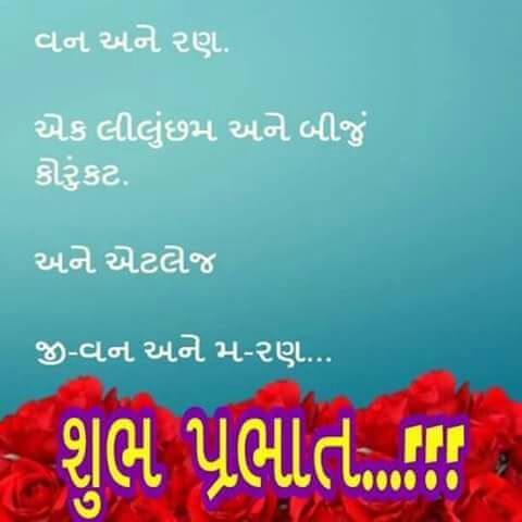 Top 100 Good Morning Images For Whatsapp In Gujarati Hd