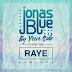 Lời Dịch Bài Hát By Your Side - Jonas Blue ft. RAYE