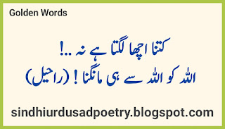 golden words shayari in urdu