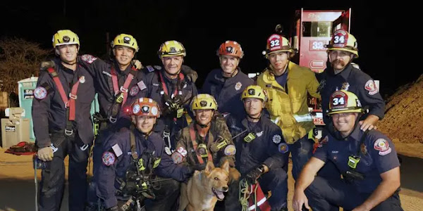 California firemen salvage blind canine that fell inside 15-foot opening at building site