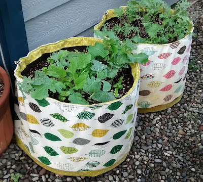 Green leafy plants inside two round planters that have been covered with multi-color against white, leaf-patterned fabric. The bottom of each planter slipcover and a foldover 'lip' is white polka-dot against light green