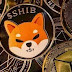 Shiba Inu ultrapassa Dogecoin! Confira agora mesmo!