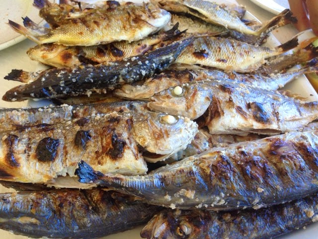 V Mostra Gastronómica da Sardinha en Portimão