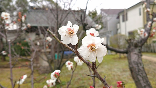 余部神社遥拝所(堺市美原区)