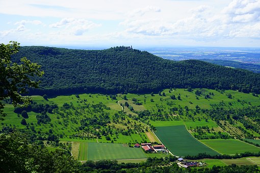 Multi-use Forest Management in the Community Forests 